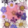 20Pcs Pressed Flowers for Resin Molds Real Natural Pressed Flowers for DIY Art Crafts