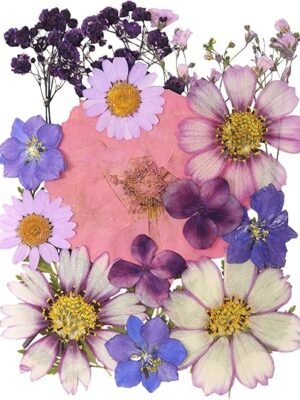 71303udfwTL._AC_SX425_.jpg 20Pcs Pressed Flowers for Resin Molds Real Natural Pressed Flowers for DIY Art Crafts