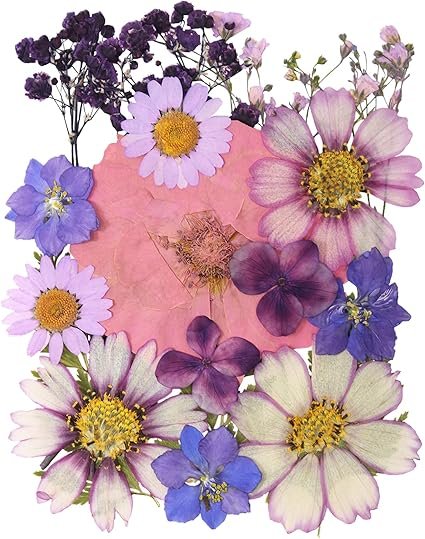 20Pcs Pressed Flowers for Resin Molds Real Natural Pressed Flowers for DIY Art Crafts