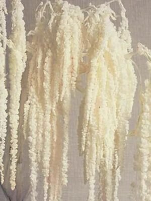 71CMyu40-3L._AC_SY450_.jpg Glicrili 5Pcs Cream White Wisteria Vine Hanging Flowers