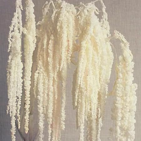 Glicrili 5Pcs Cream White Wisteria Vine Hanging Flowers