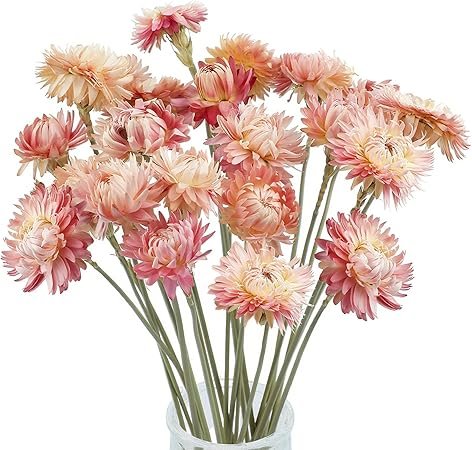 71KssCEdMxL._AC_SY450_.jpg 20 Pcs Natural Dried Daisy Flowers Bouquet, Assorted Multicolor Daisies for Wedding, Farmhouse Table DIY Decor, Home Office Party Vase Arrangement