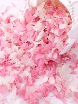 71YjeEt-pqL._AC_SY450_.jpg 1500 Real Dried Hydrangea Flower Petals