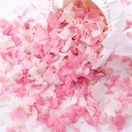 1500 Real Dried Hydrangea Flower Petals