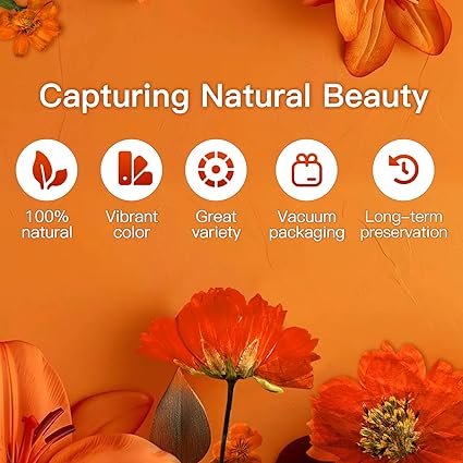 Orange Pressed Flower Authentic Natural Flowers