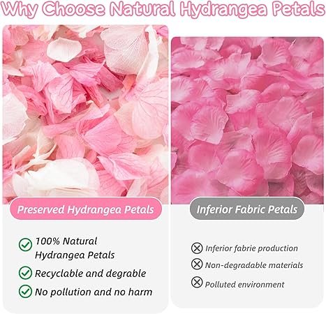 1500 Real Dried Hydrangea Flower Petals