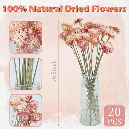 817Zvxe7tnL._AC_SY450_.jpg 20 Pcs Natural Dried Daisy Flowers Bouquet, Assorted Multicolor Daisies for Wedding, Farmhouse Table DIY Decor, Home Office Party Vase Arrangement
