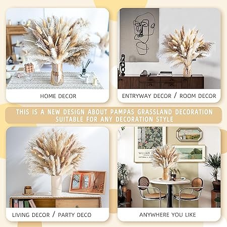 81ALd6M57BL._AC_SY450_.jpg 150PCS Natural Pampas Grass Bouquet