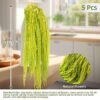 5Pcs Dried Amaranthus Hanging Flowers, Natural Preserved Flower