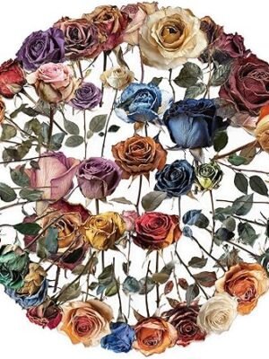 81eZU1Vn0lL._AC_SY450_.jpg 50PCS Dried Roses Stickers Aesthetic PET Transparent Stickers Vintage Gothic Flower Decals Waterproof Decorative Decals