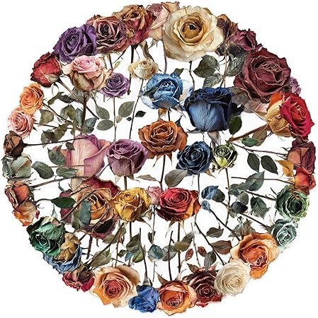 50PCS Dried Roses Stickers Aesthetic PET Transparent Stickers Vintage Gothic Flower Decals Waterproof Decorative Decals
