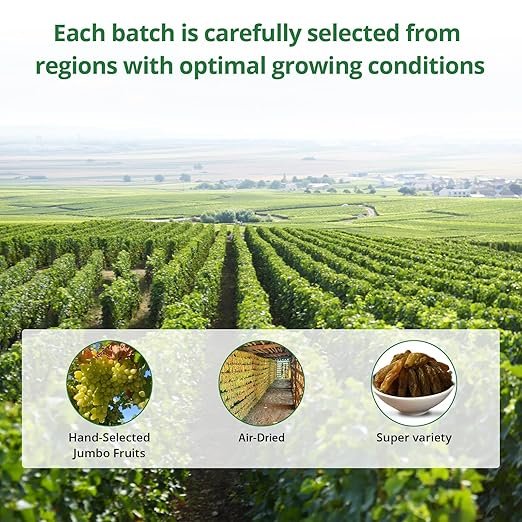 81lmcGeyDDL._SX522_-1.jpg Grapes Dried Fruit Snacks