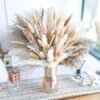 81qt1EbeIwL._AC_SY450_.jpg 150PCS Natural Pampas Grass Bouquet