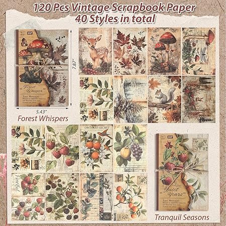 91Se6jRJ1L._AC_SY450_.jpg 238 Pcs Vintage Scrapbooking Supplies Kit 2 Pack Dried Pressed Flowers